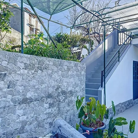 Figueirinha - Family *